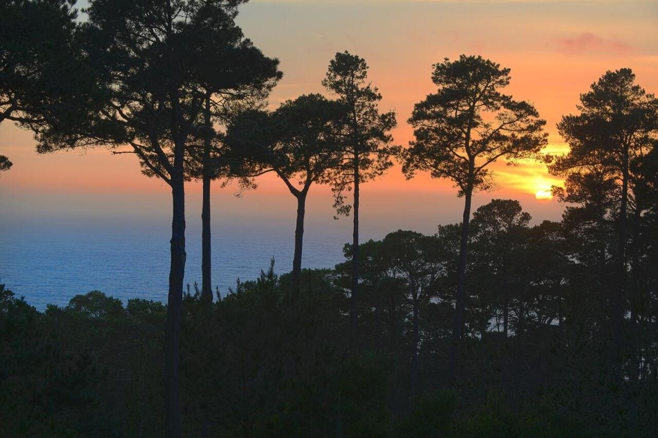 3707 Pacific'S Edge Sanctuary Home Carmel-by-the-Sea Экстерьер фото